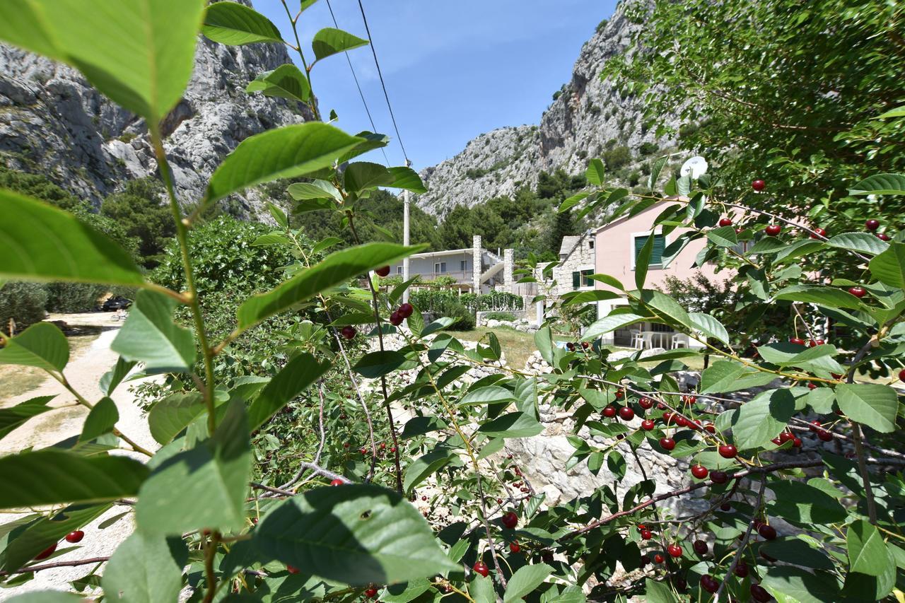 Apartment Petea Omiš Εξωτερικό φωτογραφία