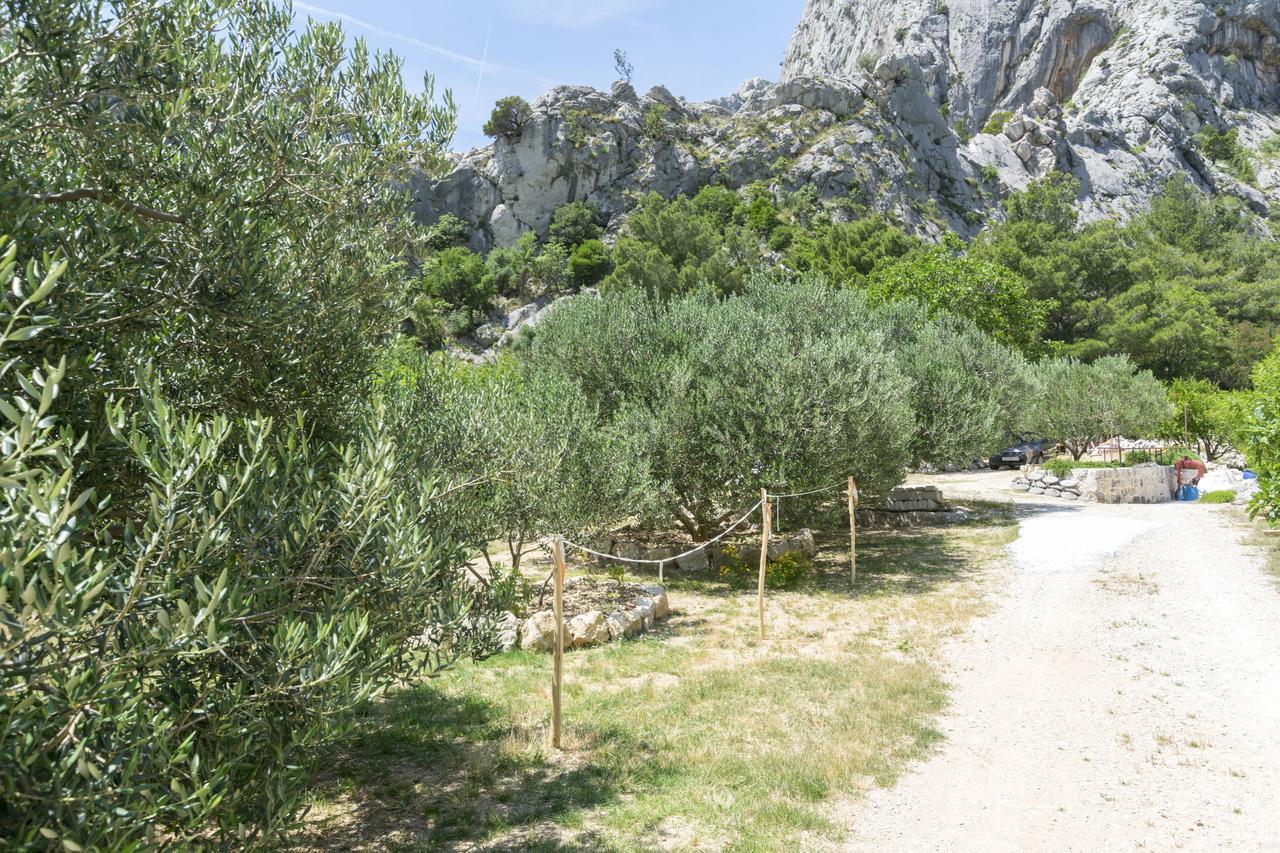 Apartment Petea Omiš Εξωτερικό φωτογραφία